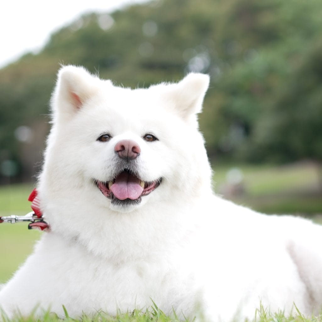 南葉山Bonte動物病院