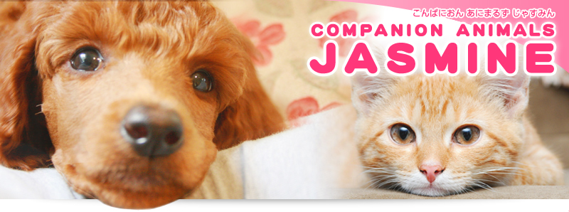 CONPANION ANIMALS JASMINE 富里店