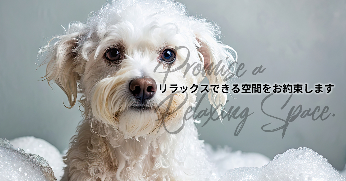 ペットサロン CROUTON