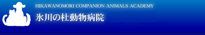 氷川の杜動物病院 CTセンター