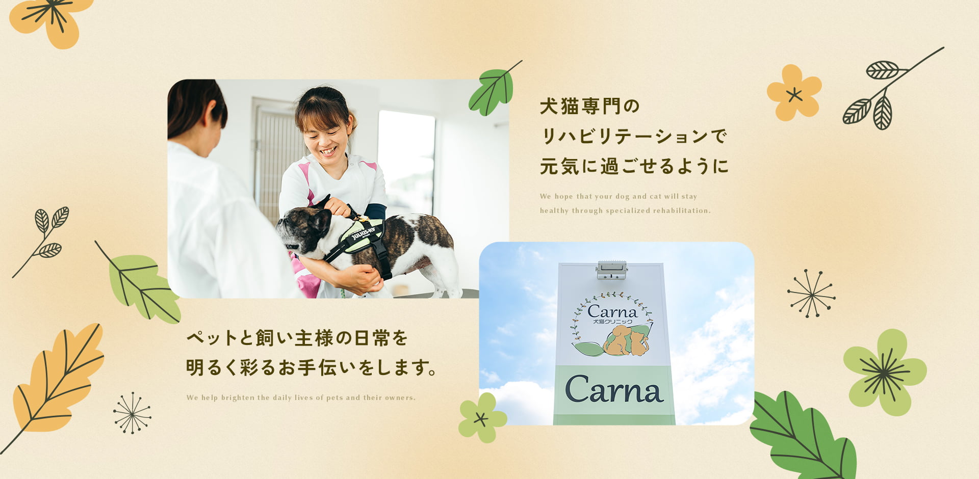 Carna犬猫クリニック