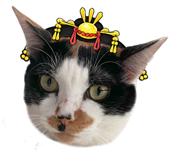 Cats&Dogs神宮の森病院