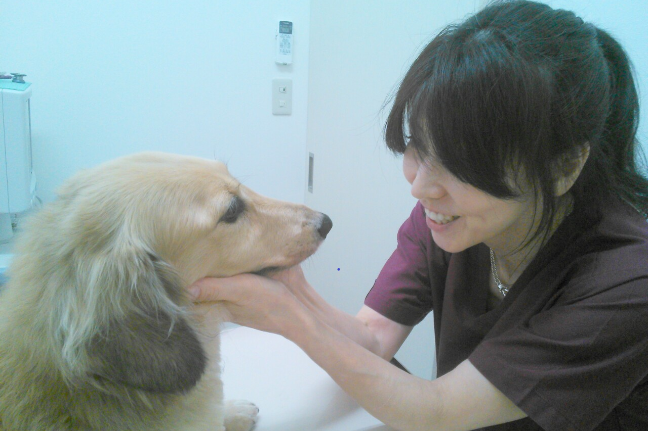 CoCo（ココ）動物病院