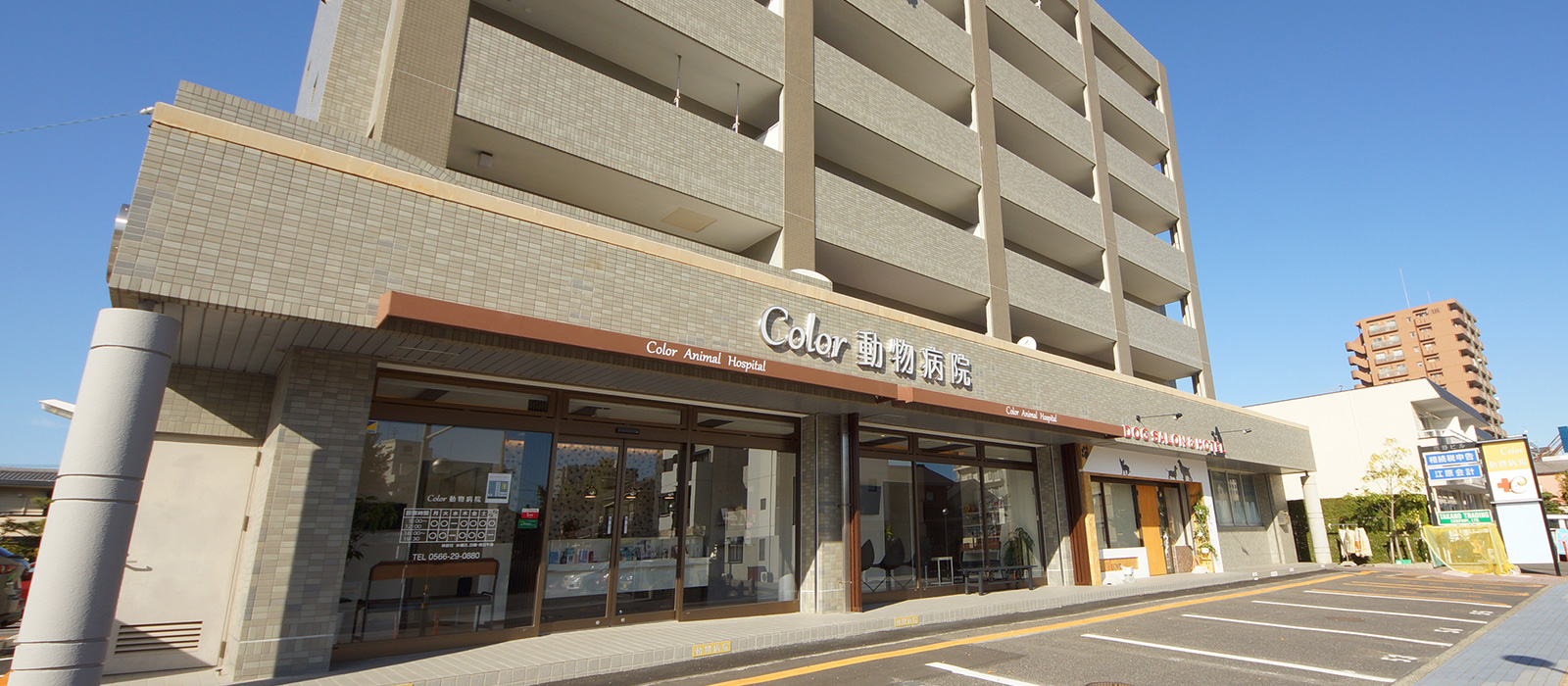 Color動物病院