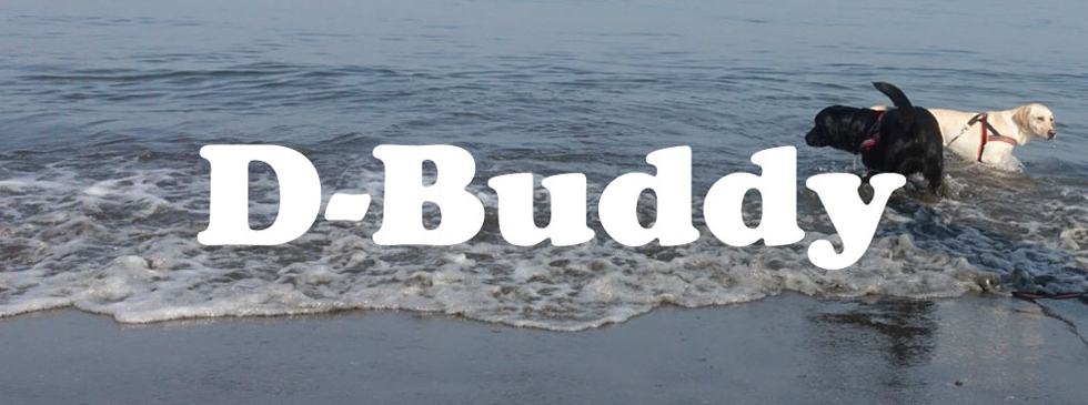 D-Buddy