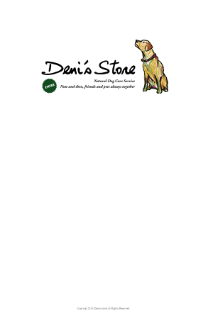 DENI'S STORE