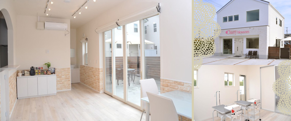 DOG GARDEN Cherry...