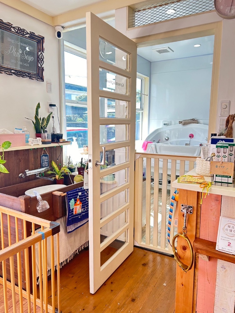 DOG GROOMING plus...