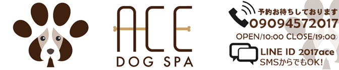 DOG SPA ACE