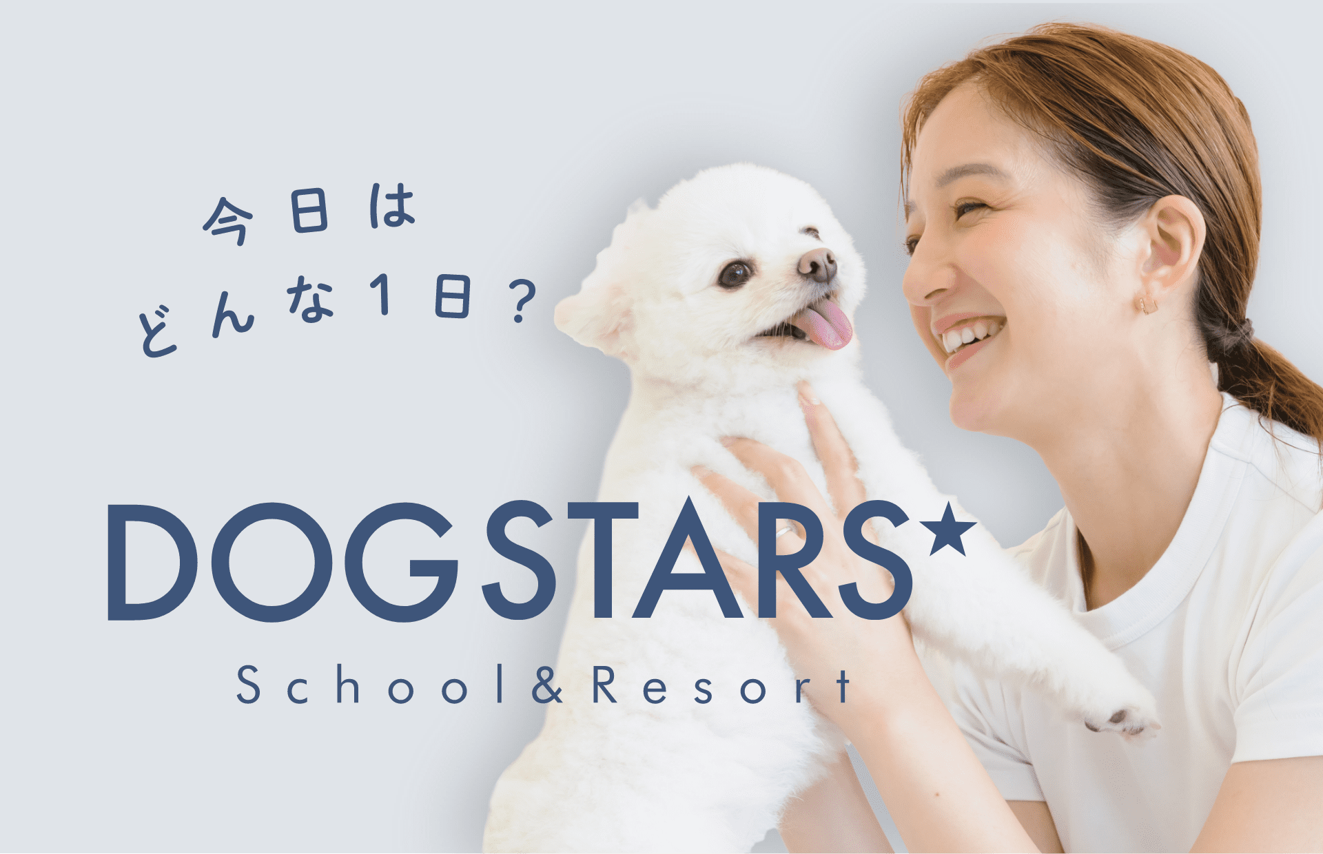 DOG STARS school＆resort