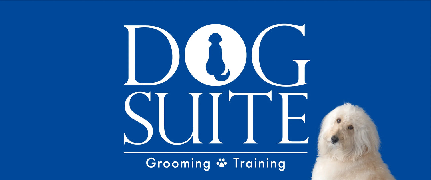 DOG SUITE