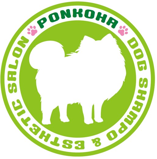 DOG Shampoo &amp; Est...