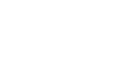 DOG salon ange