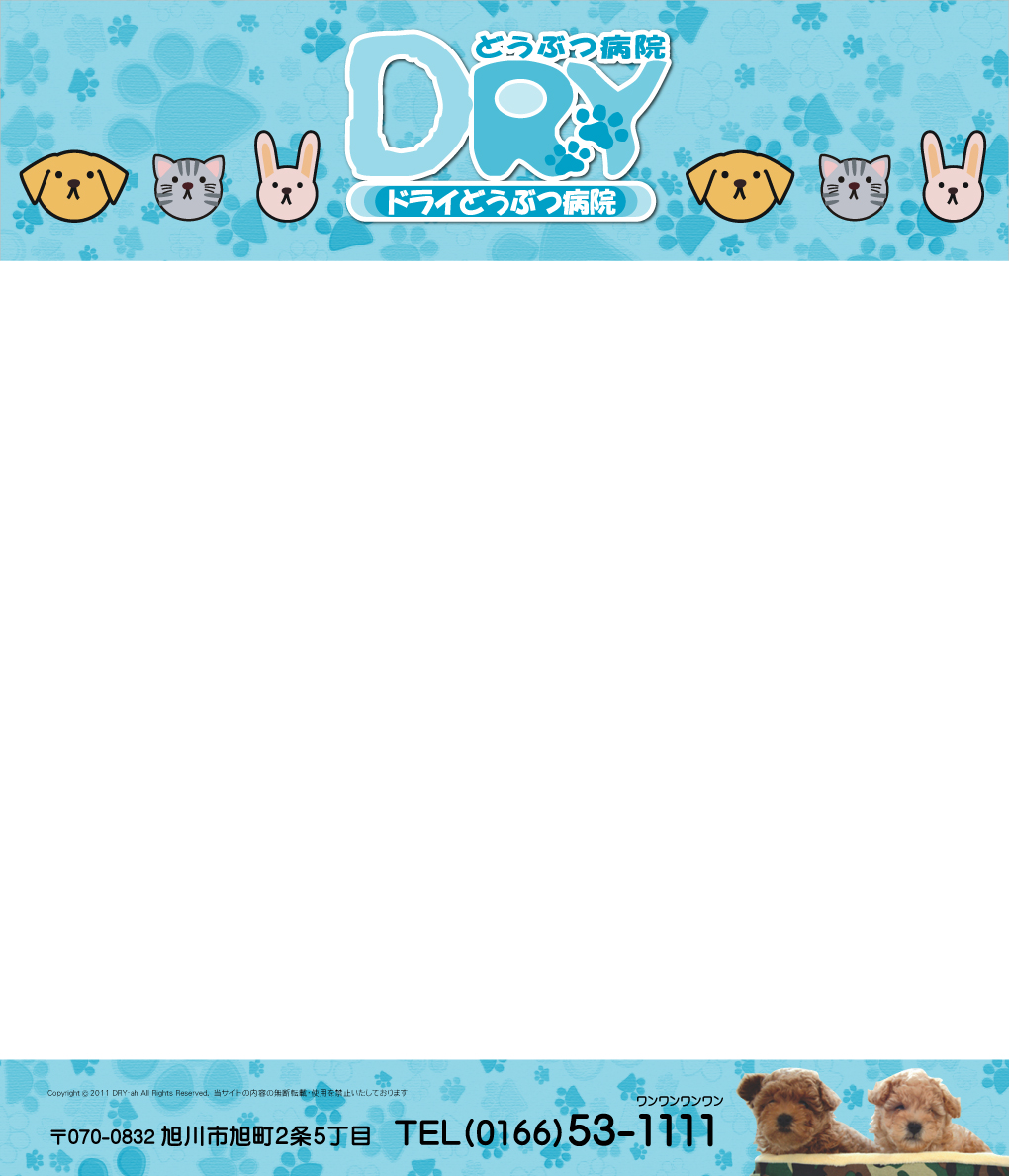 DRYどうぶつ病院