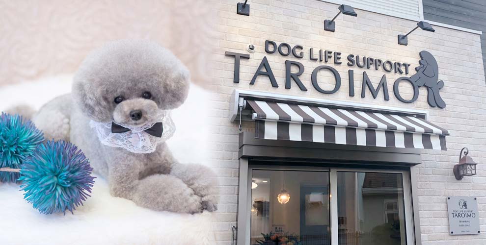 Dogサロン タロイモ