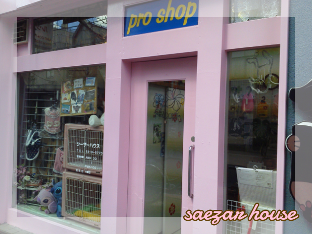 Dog Beauty シーザーハウス