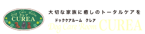 Dog Care Room CUREA