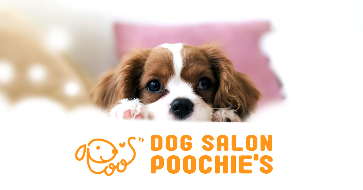 Dog Salon POOCHIE'S