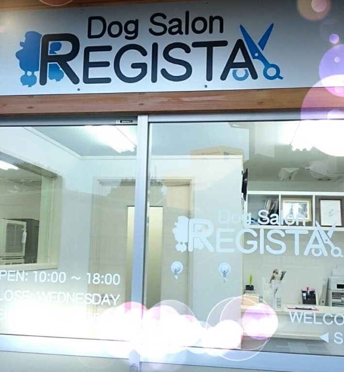 Dog Salon REGISTA
