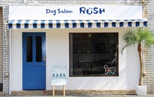 Dog Salon RUSH