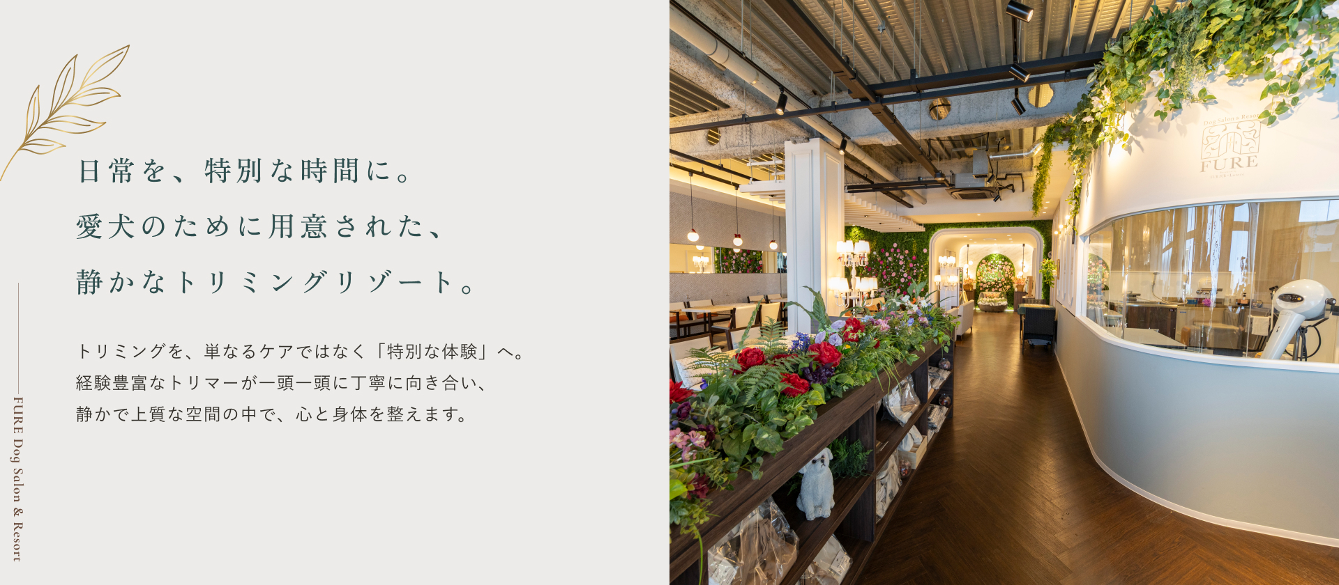 Dog Salon & Resort FURE