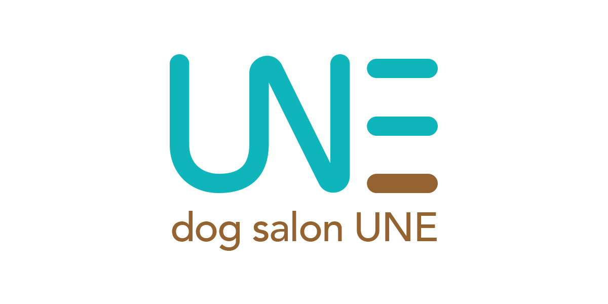 DogSalon UNE
