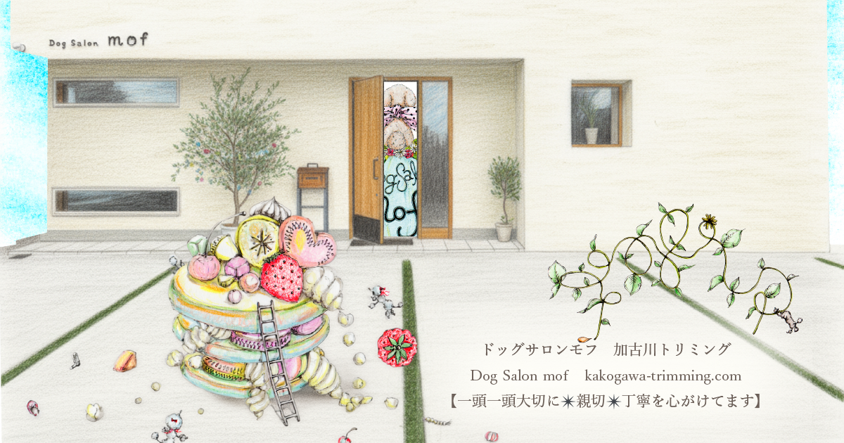Dog Salon mof(ドッグサロン・モフ)