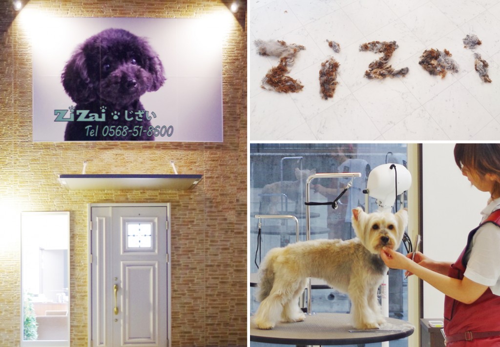 DogサロンZiZai