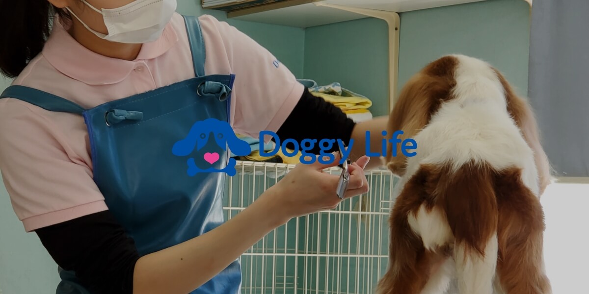 トリミングサロン Doggy Life