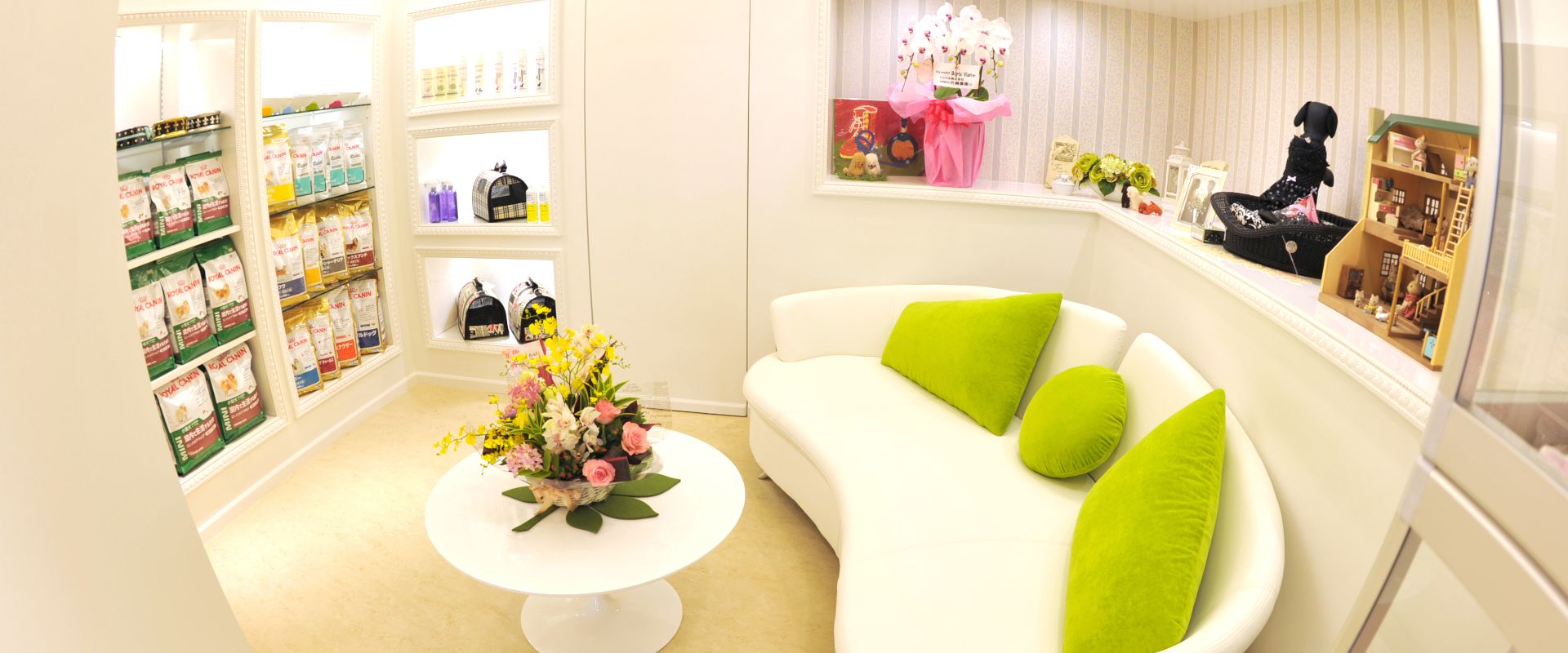 Dogproject Borisvian