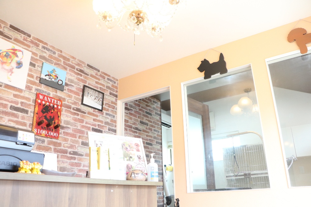Dogsalon GRUMPY
