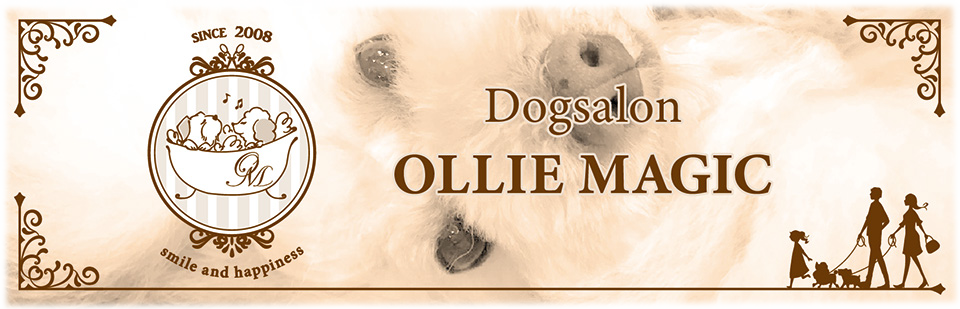 Dogsalon OLLIEMAGIC