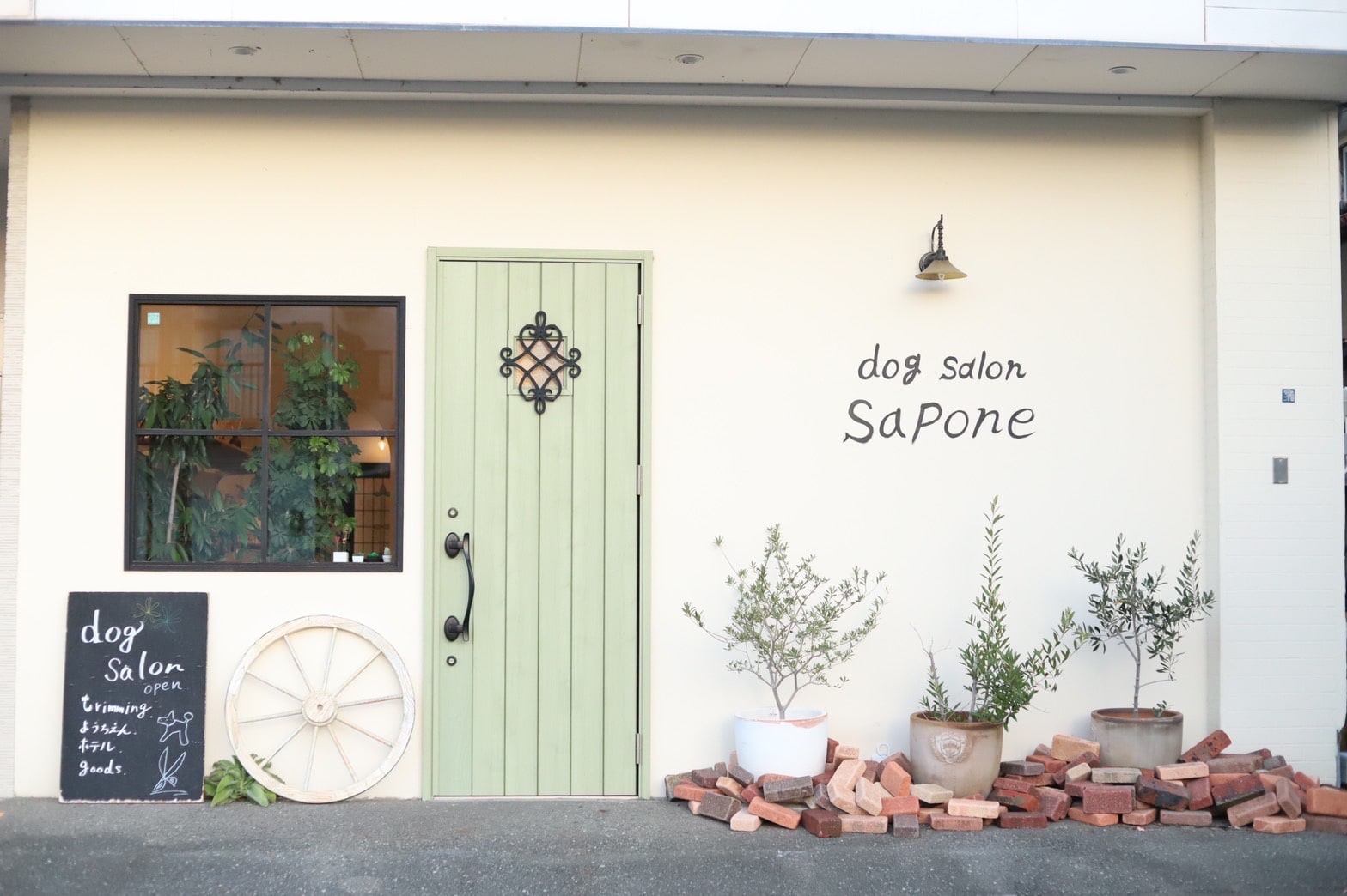 Dogsalon sapone
