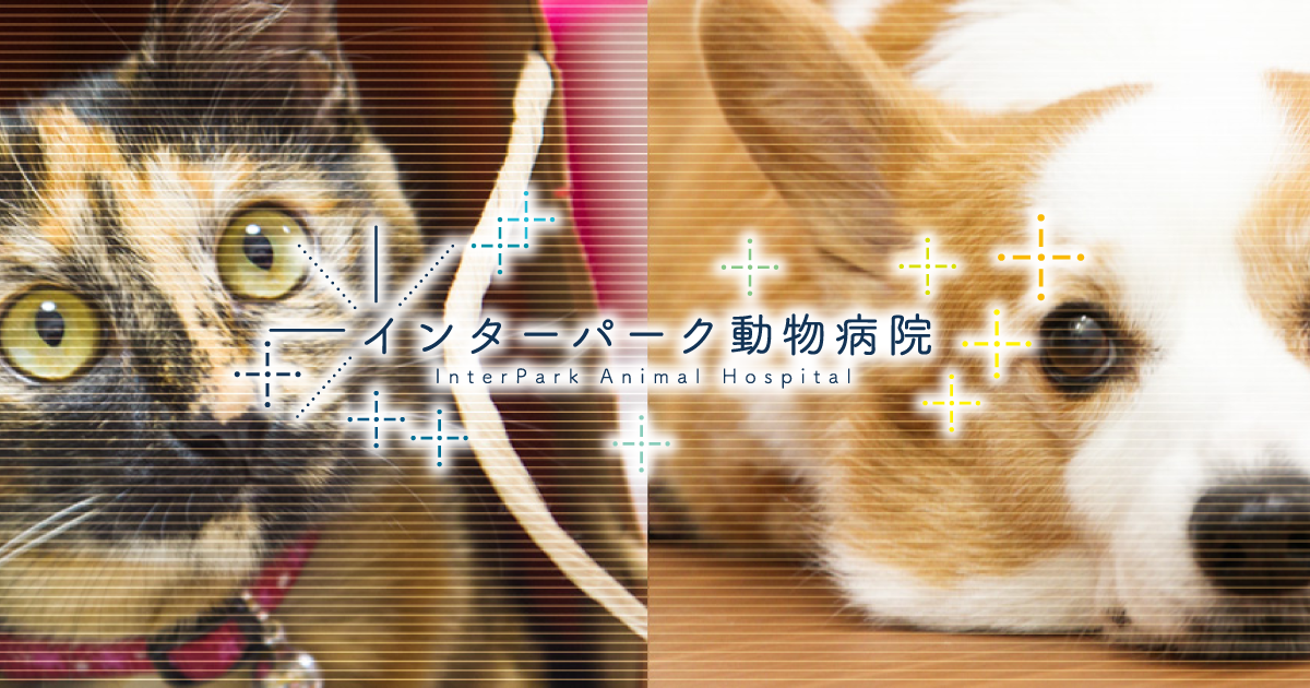 ER宇都宮インターパーク動物病院
