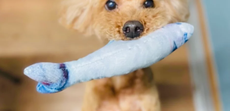 ペットサロンFoot ...