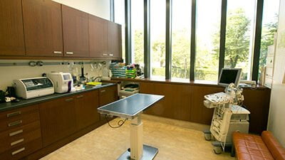 GREEN DOG & CAT アニマルクリニック 東京ミッドタウン店