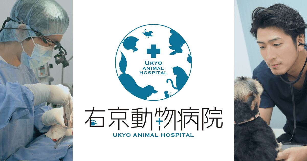 右京動物病院 HEALTH CARE CENTER