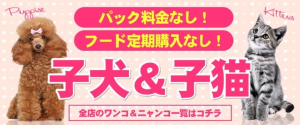 ペットショップHUG