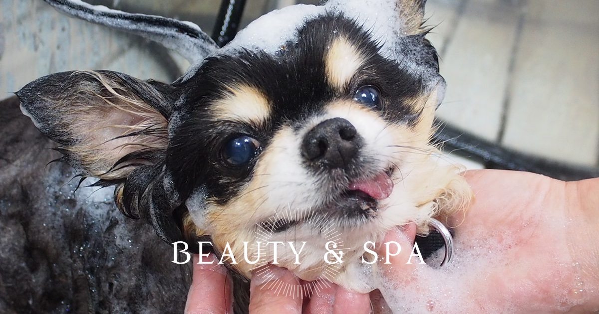 Holistique Beaute...