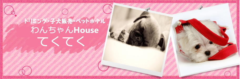 わんちゃんHouse てくてく