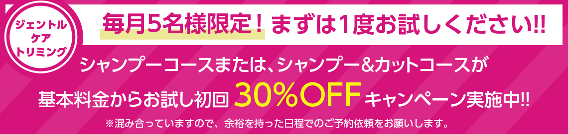 Ishihara Dog Salo...