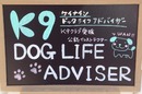 K9 DOG LIFE ADVISER