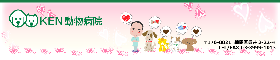 KEN動物病院