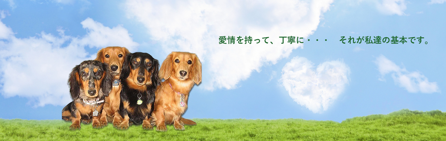 ドッグヘアースタジオKEN 大阪空港蛍池本店