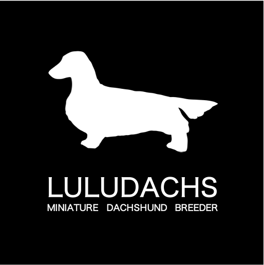 LULUDACHS