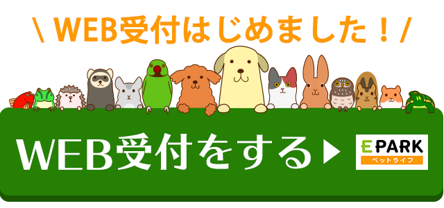 Luluどうぶつ病院