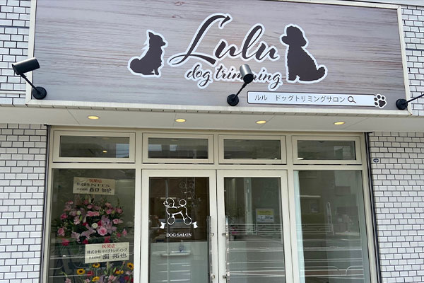 Lulu dog trimming...