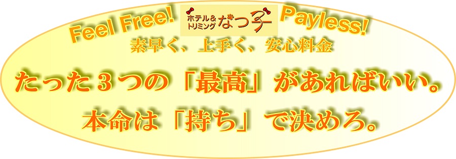 ドッグサロン なつ子＆MINE（マイン）