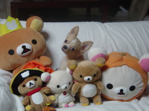 ワン・ニャン・サロン Mr.ブラック