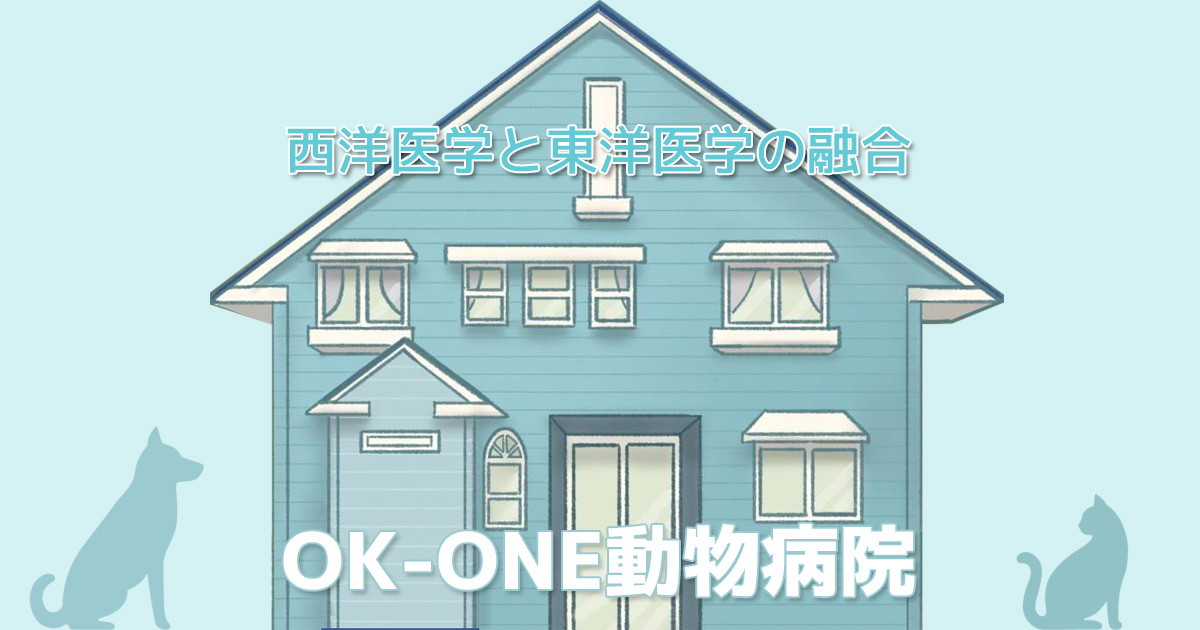 OK-ONE動物病院